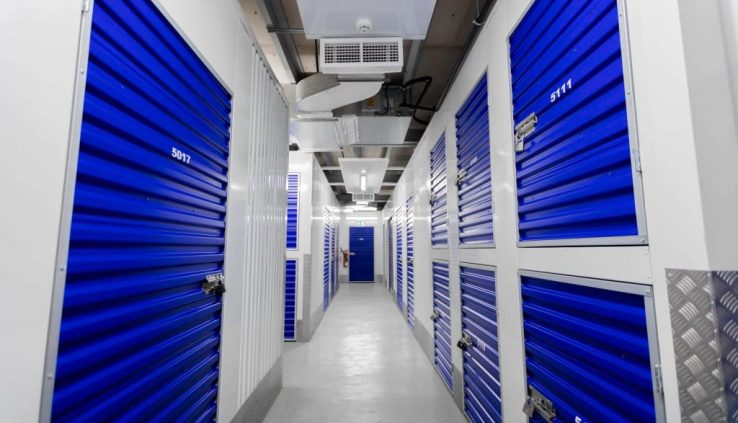 How To Keep Pests Out Of Your Storage Space Forever